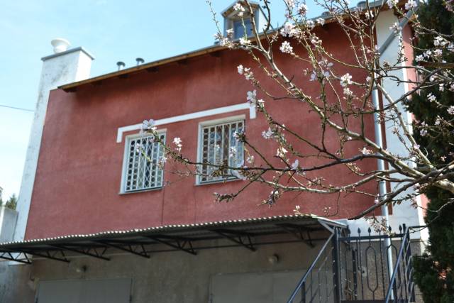 Кипарисный