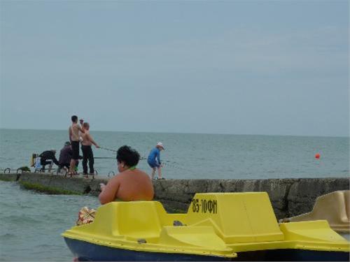 Отдых в 2 мин. от моря у Баракуды в Кургородке