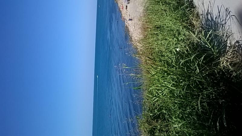 Сдаю комнату с видом на море