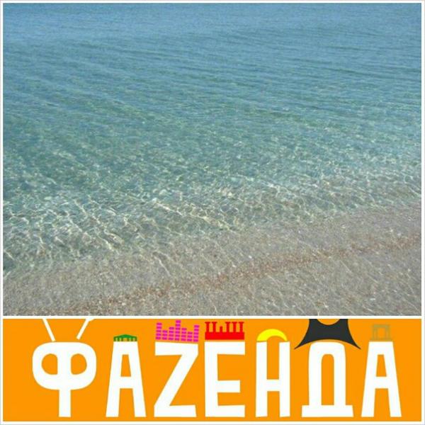 Семейный отдых на "Фазенде"